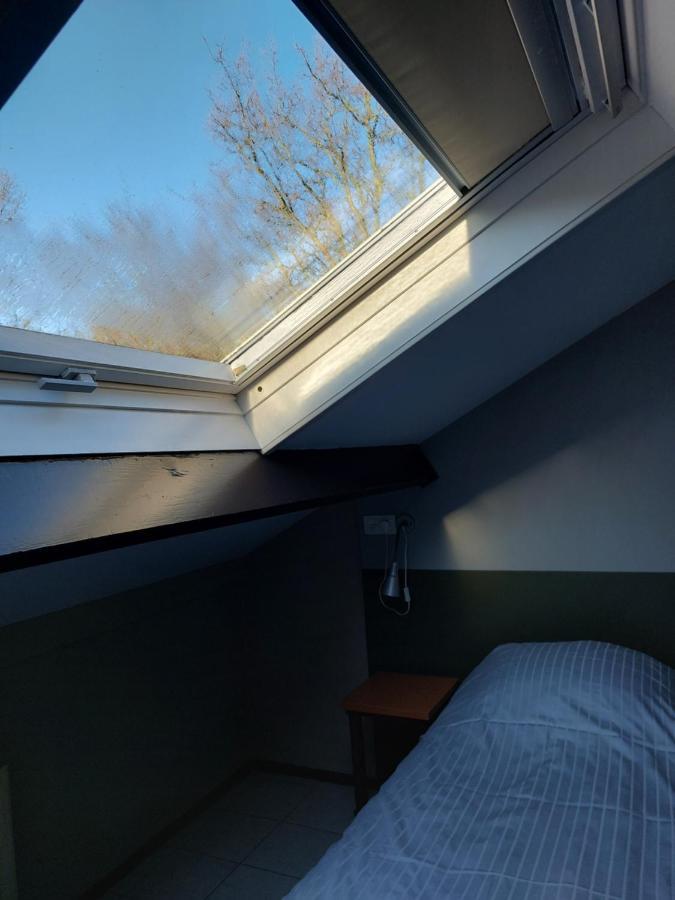 Boszicht 4 Appartement In Oostkapelle Bagian luar foto